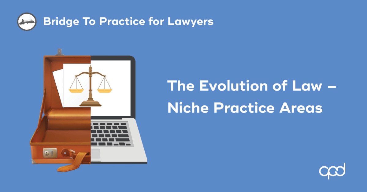 The Evolution of Law &ndash; Niche Practice Areas
