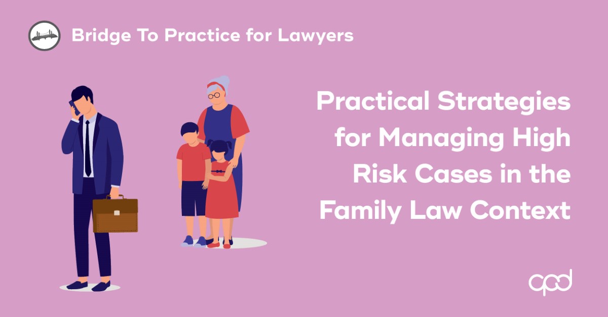 Practical Strategies for Managing High Risk Cases in the Family Law Context