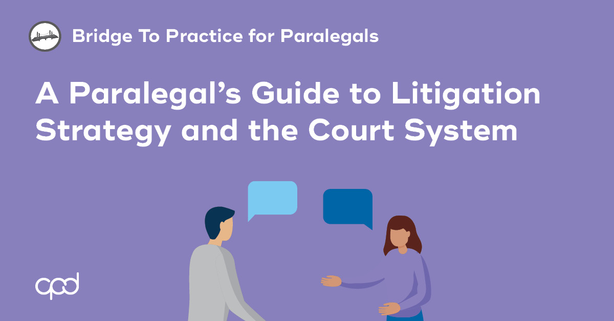 A Paralegal's Guide to Litigation Strategy and the Court System