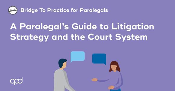 Picture of Bridge to Practice for Paralegals: A Paralegal's Guide to Litigation Strategy and the Court System