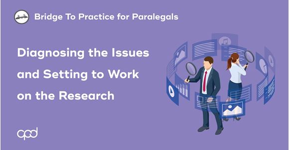 Picture of Bridge to Practice for Paralegals: Diagnosing Issues and Setting to Work on the Research