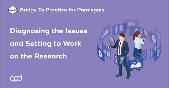 Picture of Bridge to Practice for Paralegals: Diagnosing Issues and Setting to Work on the Research